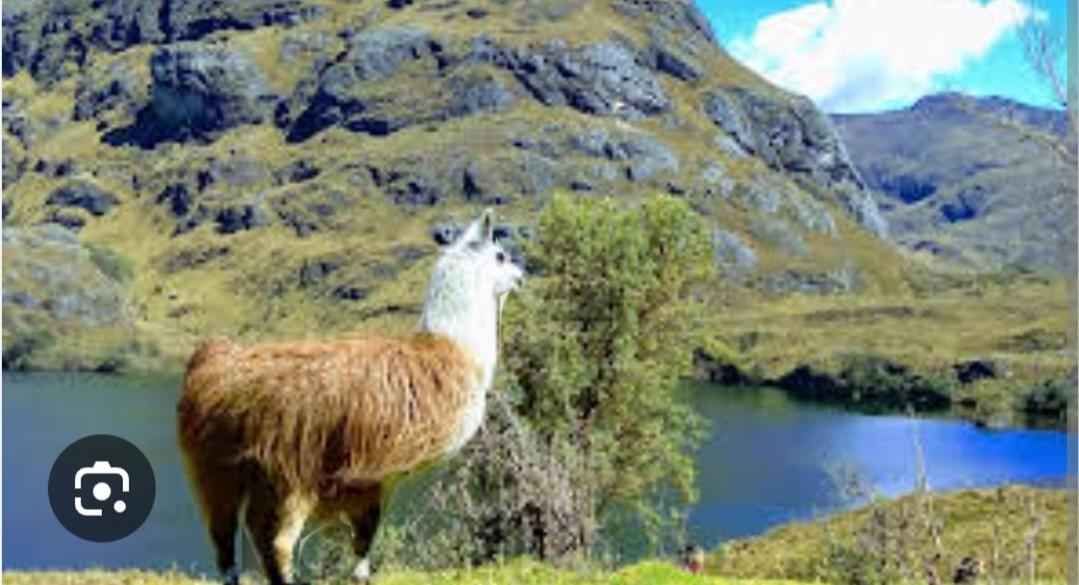Parque Nacional El Cajas