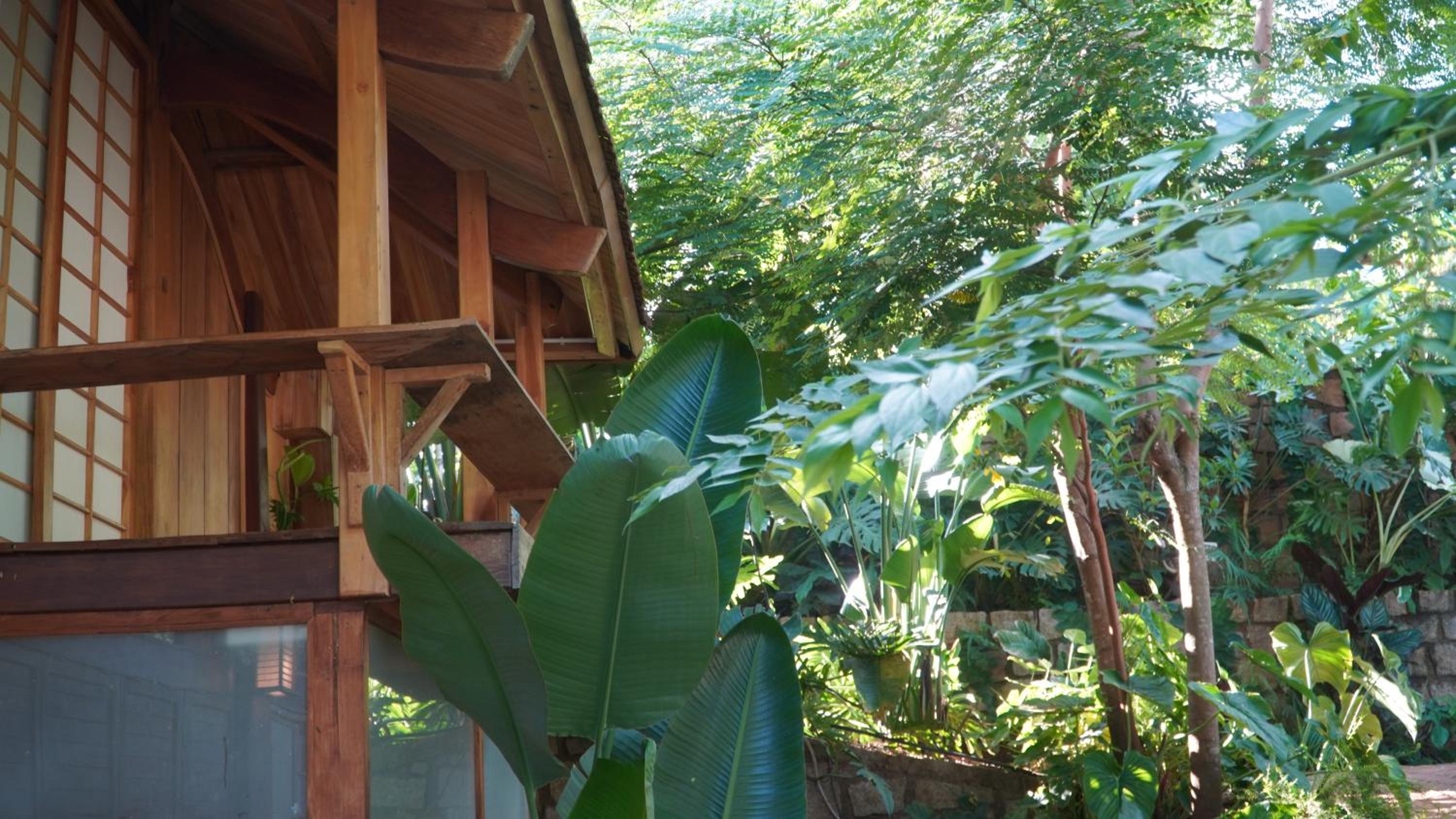 Harmony Botanical Garden Stay - 300 Plant Species, Natural Stream and Small Pool
