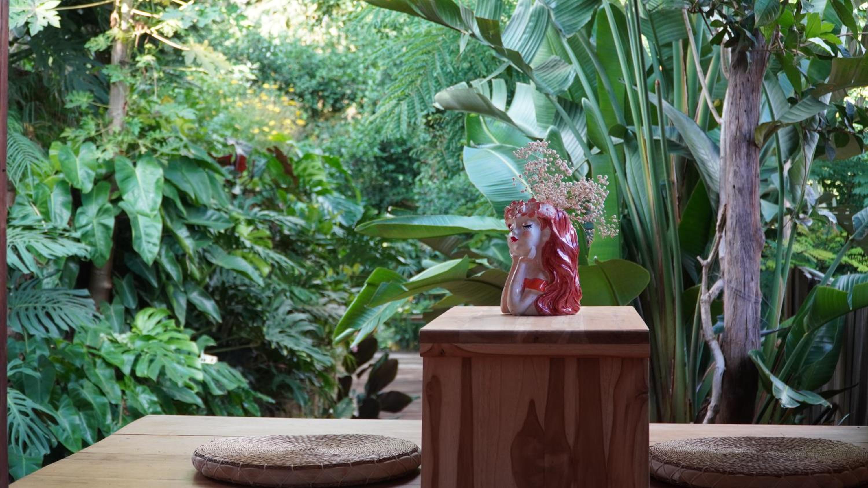 Harmony Botanical Garden Stay - 300 Plant Species, Natural Stream and Small Pool