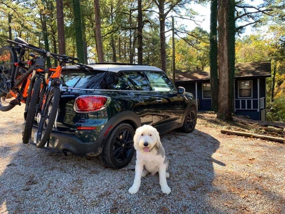 Loblolly Pines Adventure Cabin 3 - King
