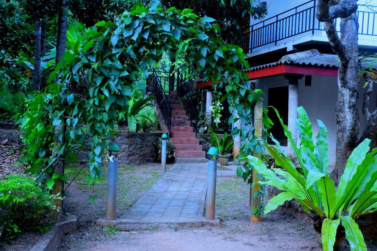 Photo 45