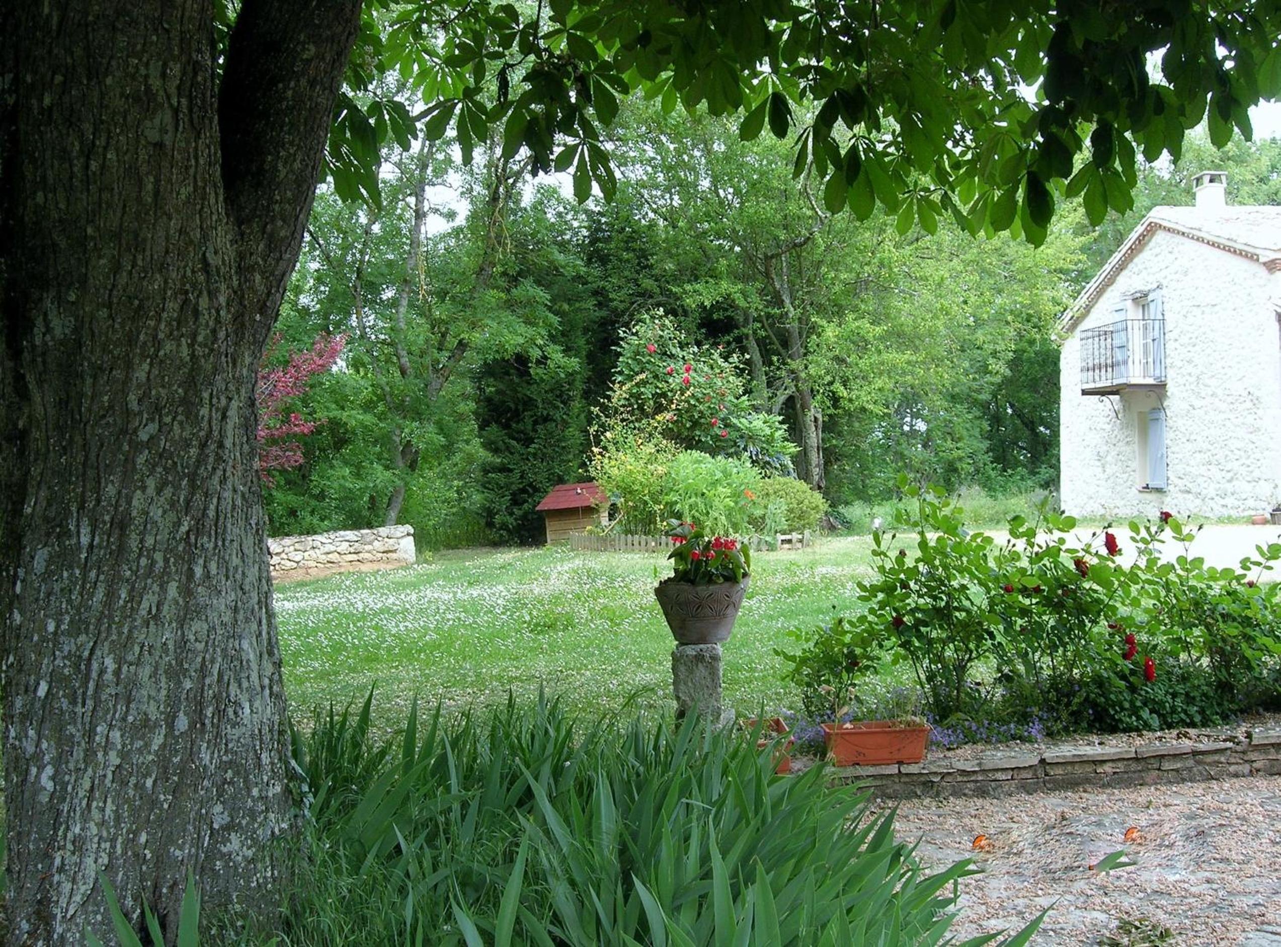 Photo 41