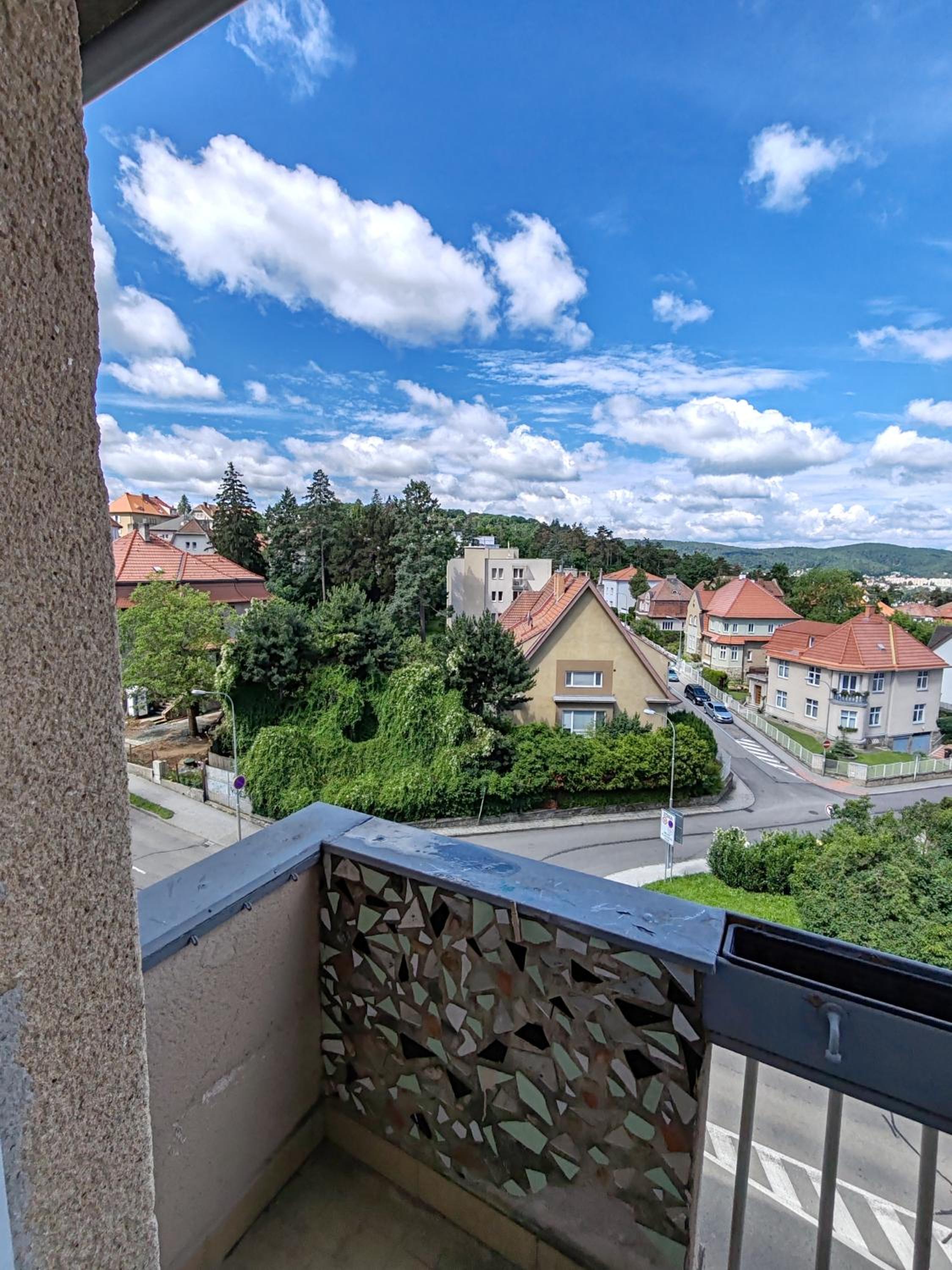 Apartman Březinova