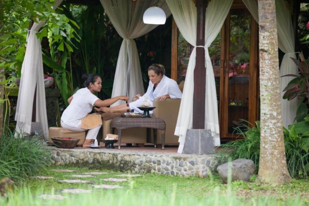 Bebek Tepi Sawah Villa And Spa view 4