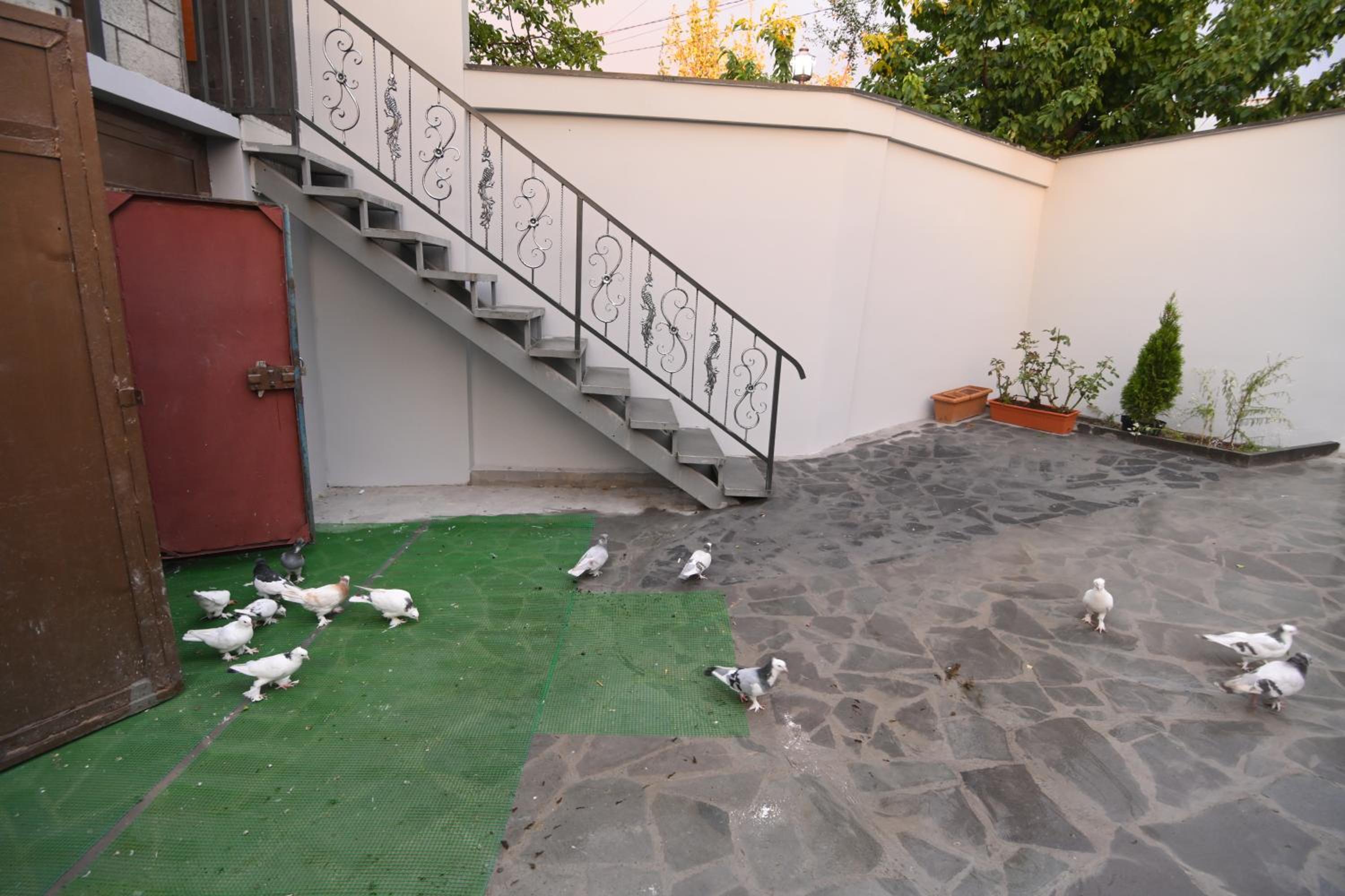 Guest House
