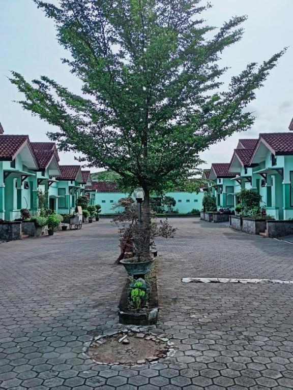 Atrium Resort Hotel