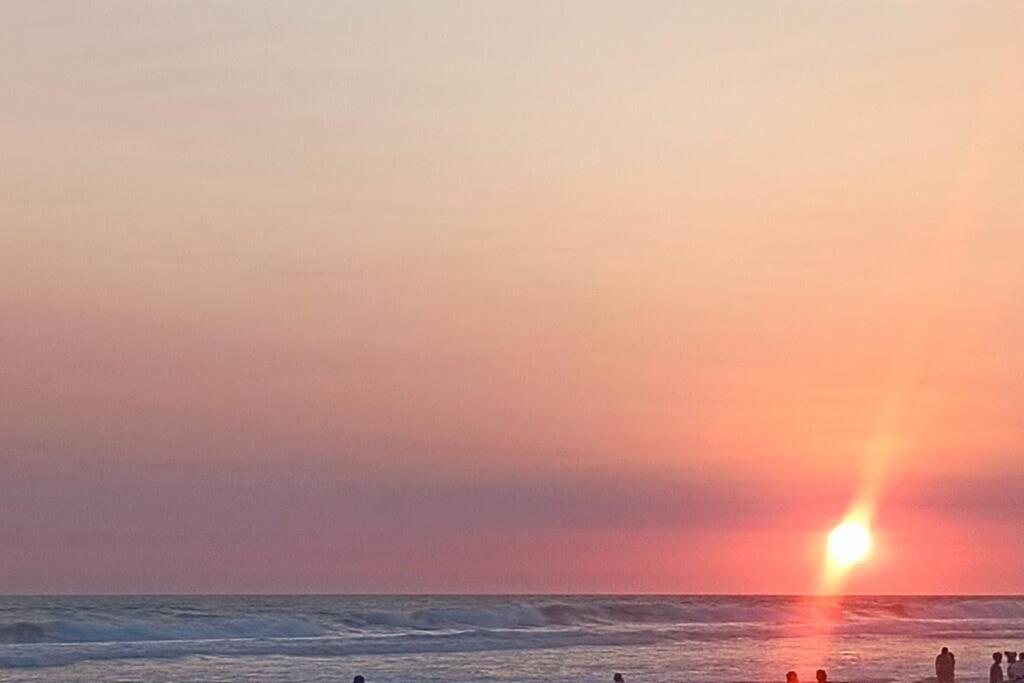 Espectacular y Nuevo