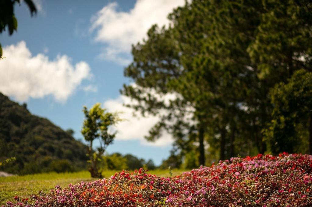 Sam Tuyen Lam Resort