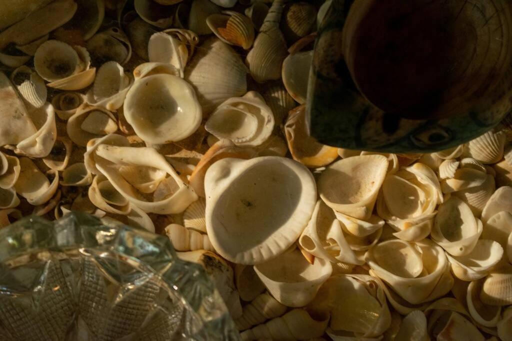 Casa Quilo Paraiso Privado Incluye ida al mar