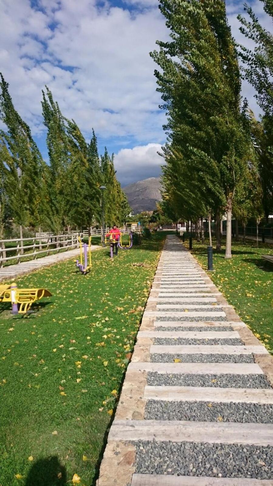 Photo 25
