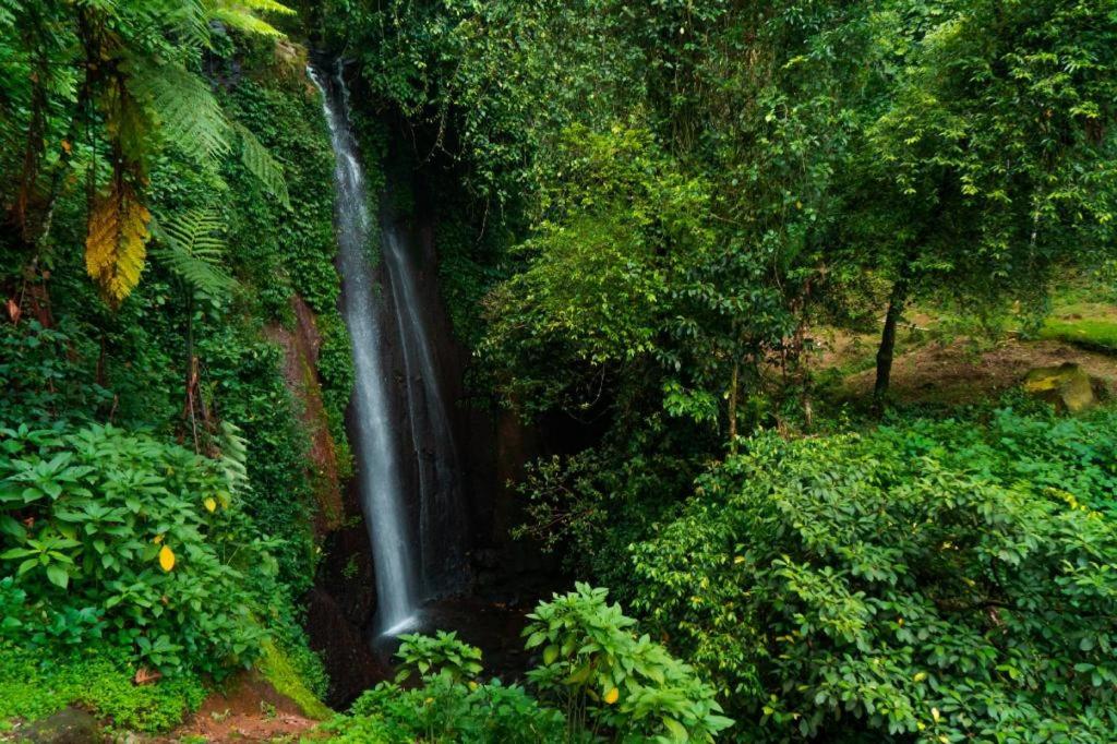The Highland Park Resort Bogor