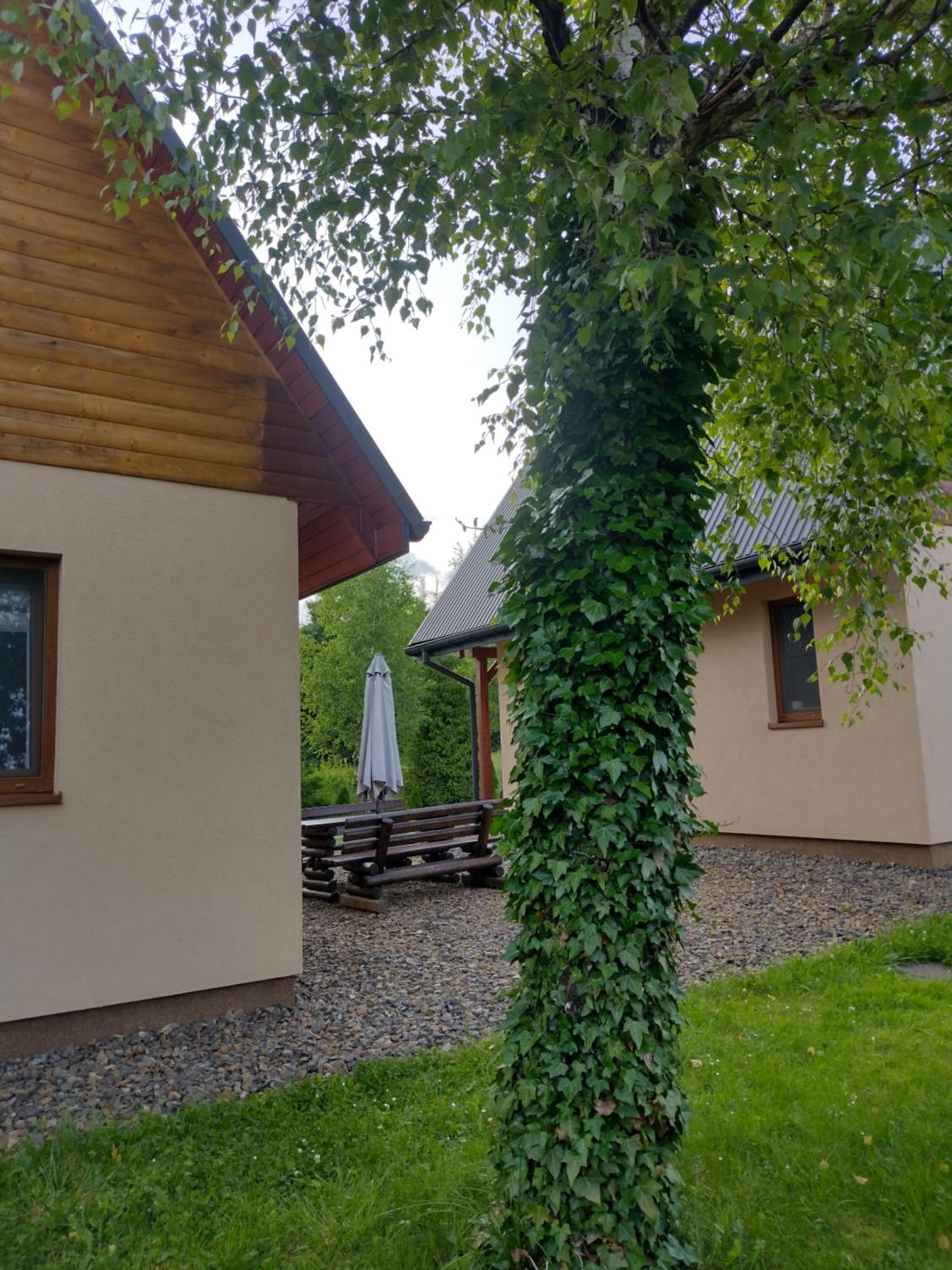 Domki Brzozówka w Bieszczadach