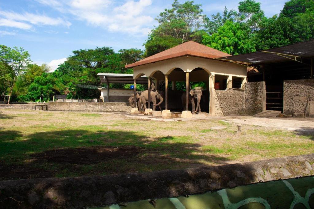 BHUMI Hostel