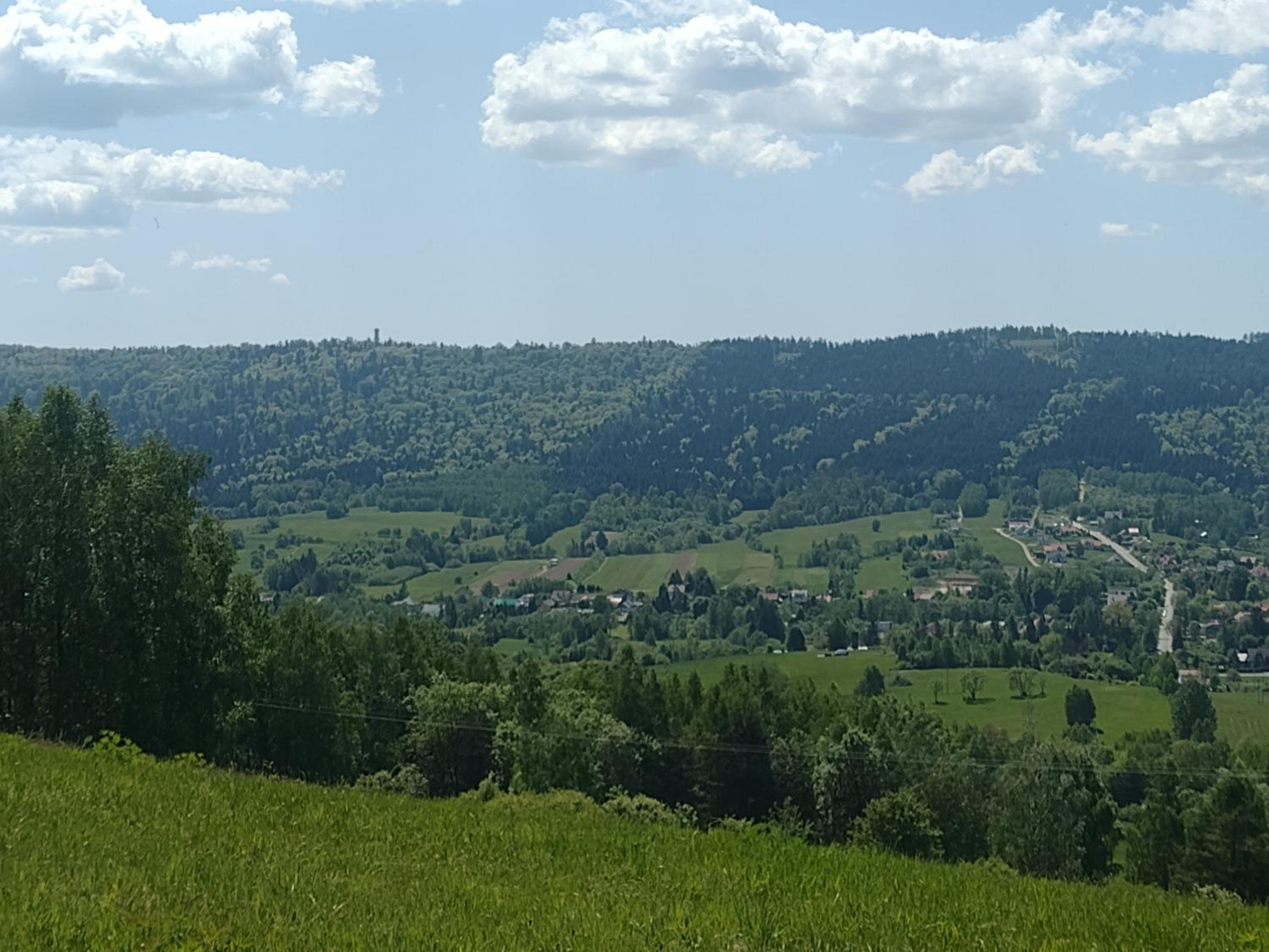 Domki Brzozówka w Bieszczadach