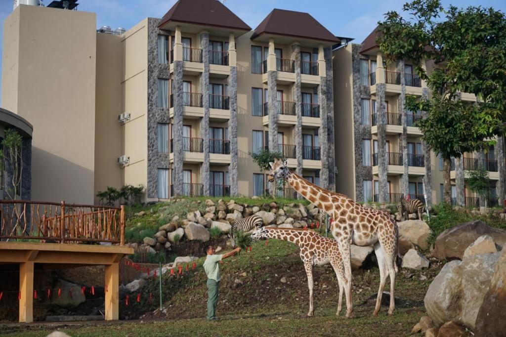 Baobab Safari Resort