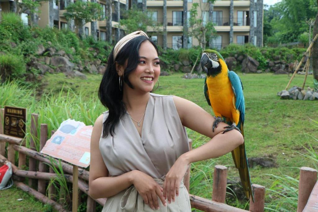 Baobab Safari Resort