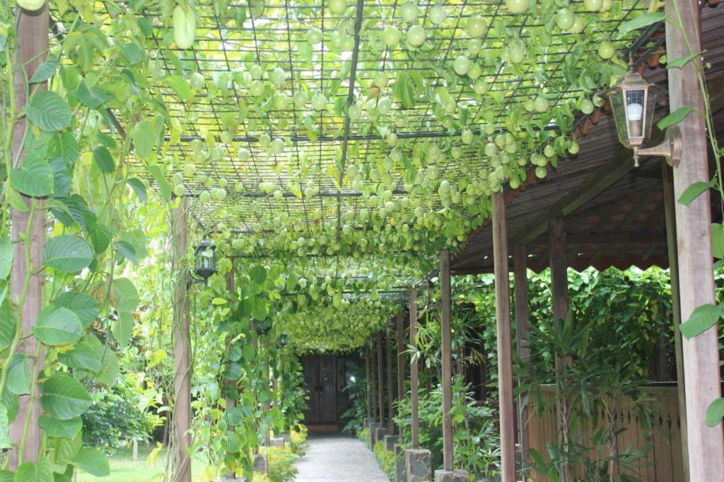 Photo 41