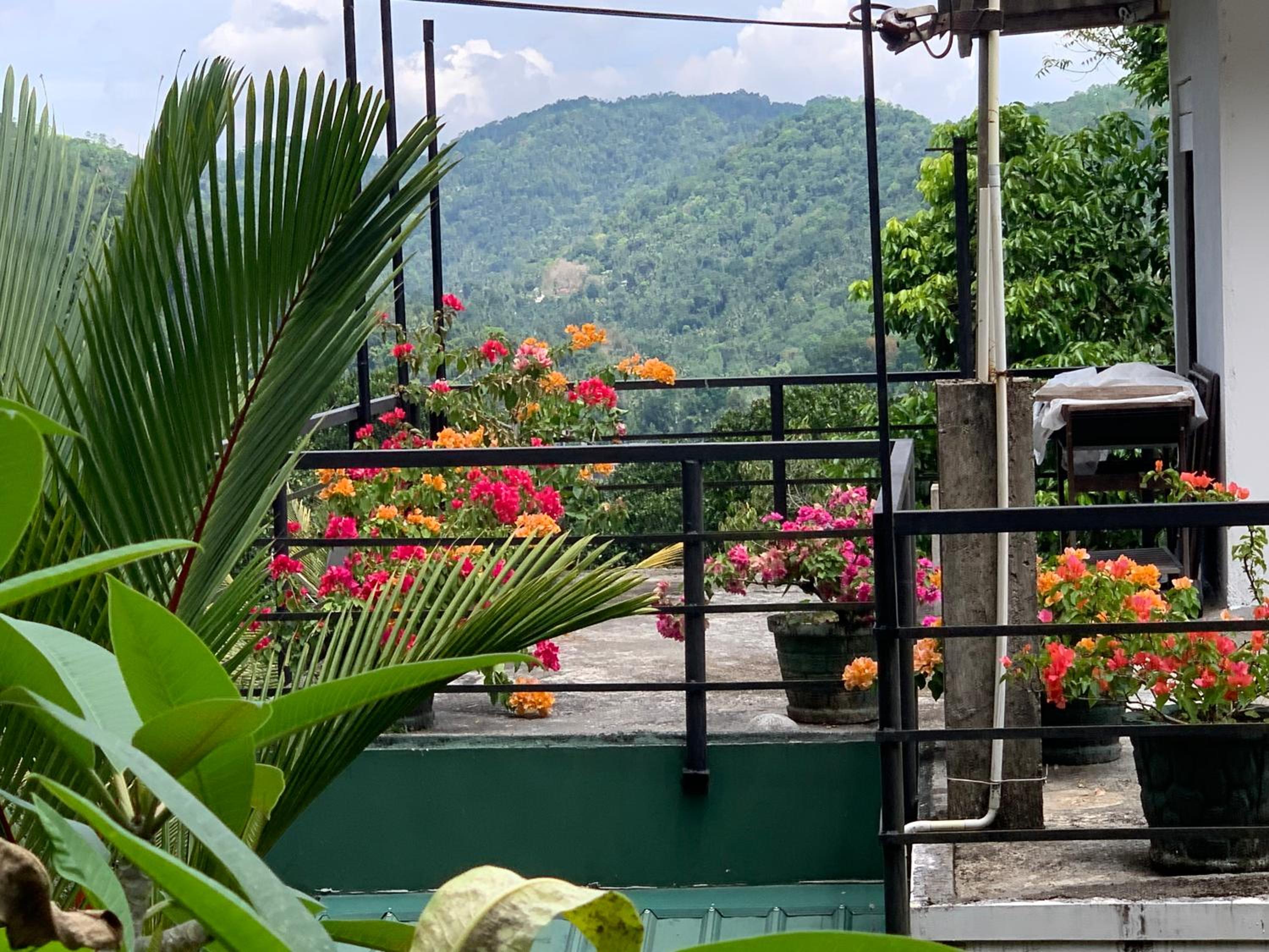 Araliya Home Stay view 4
