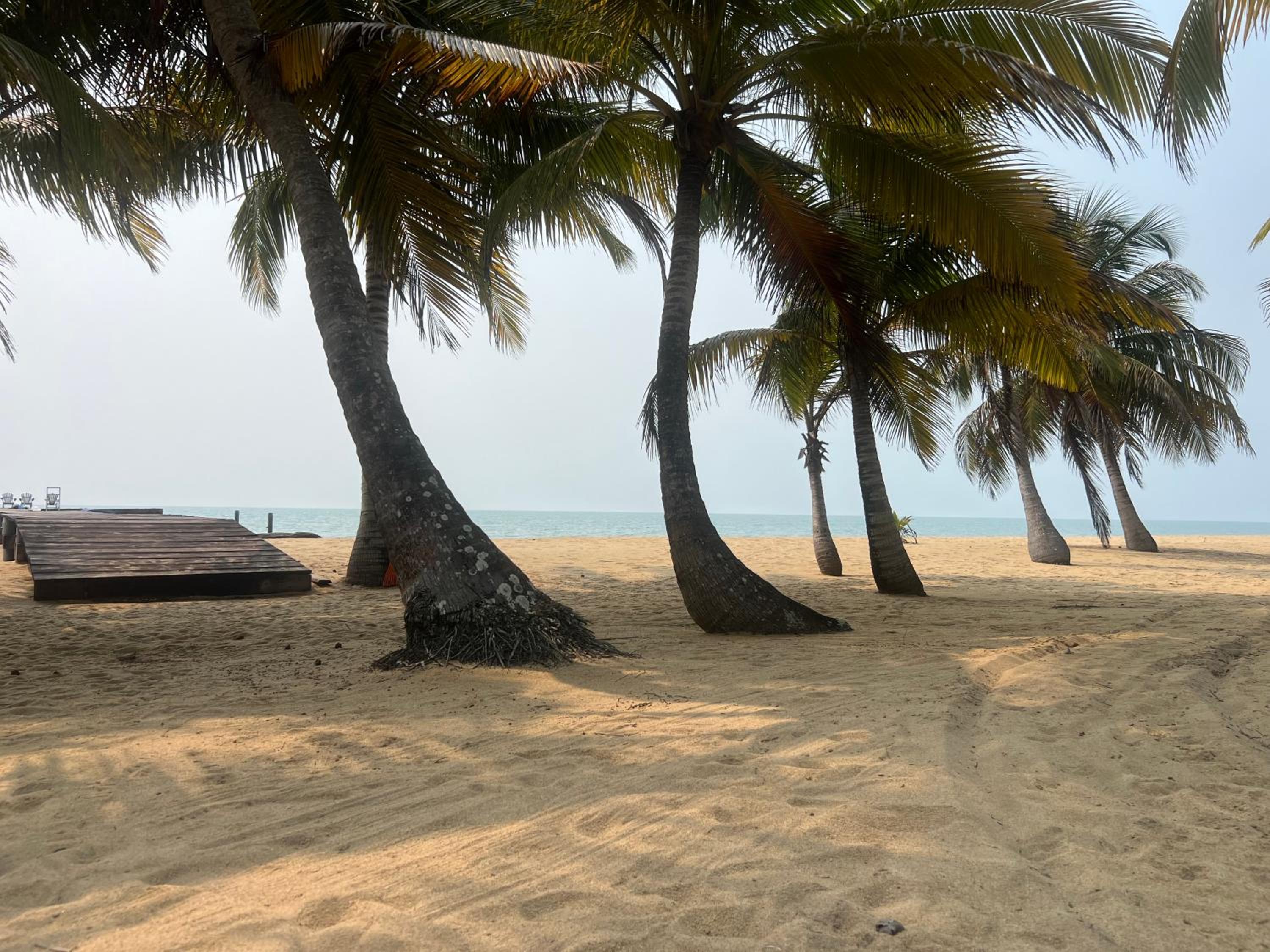 Sabal Beach