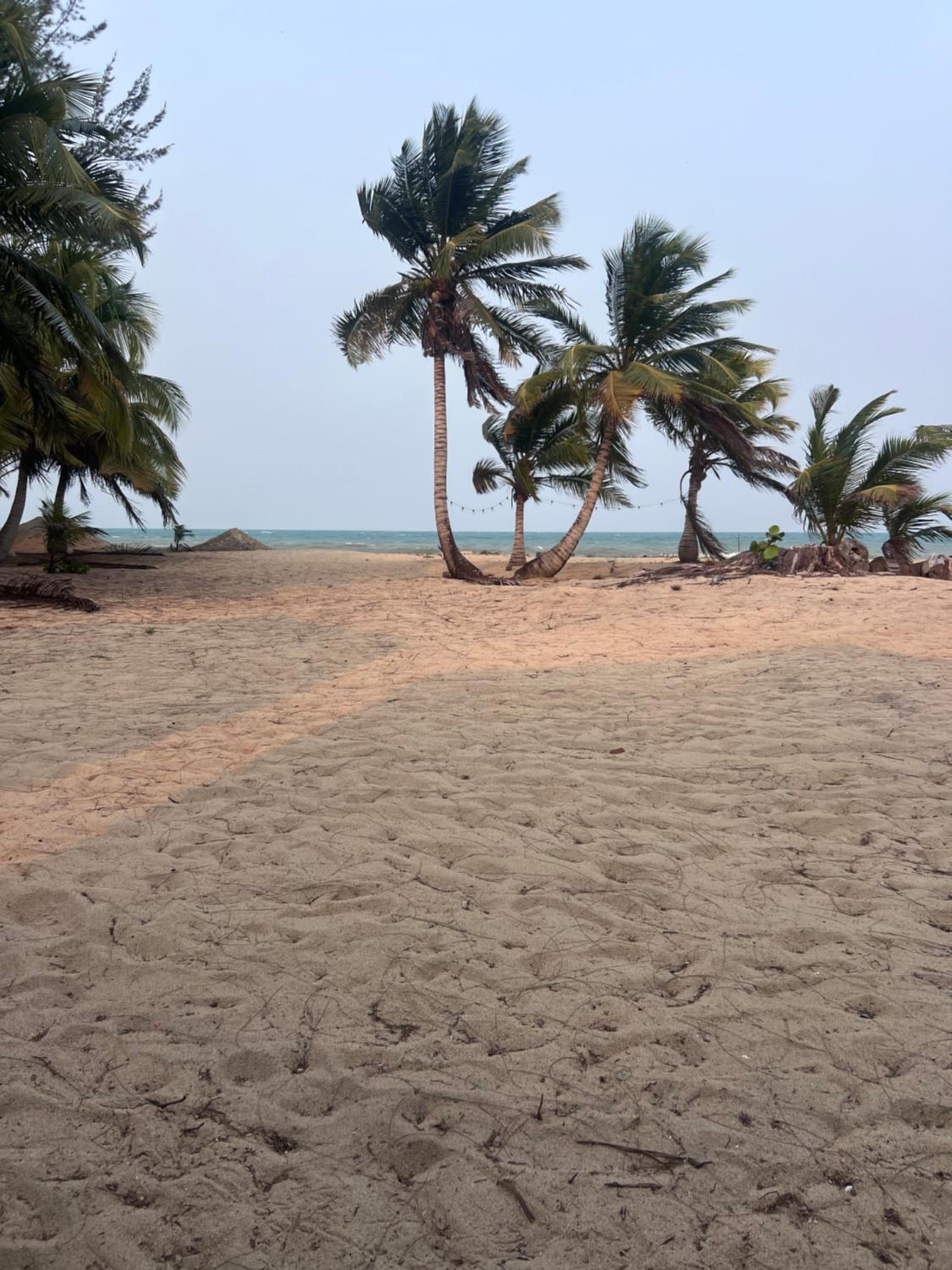 Sabal Beach