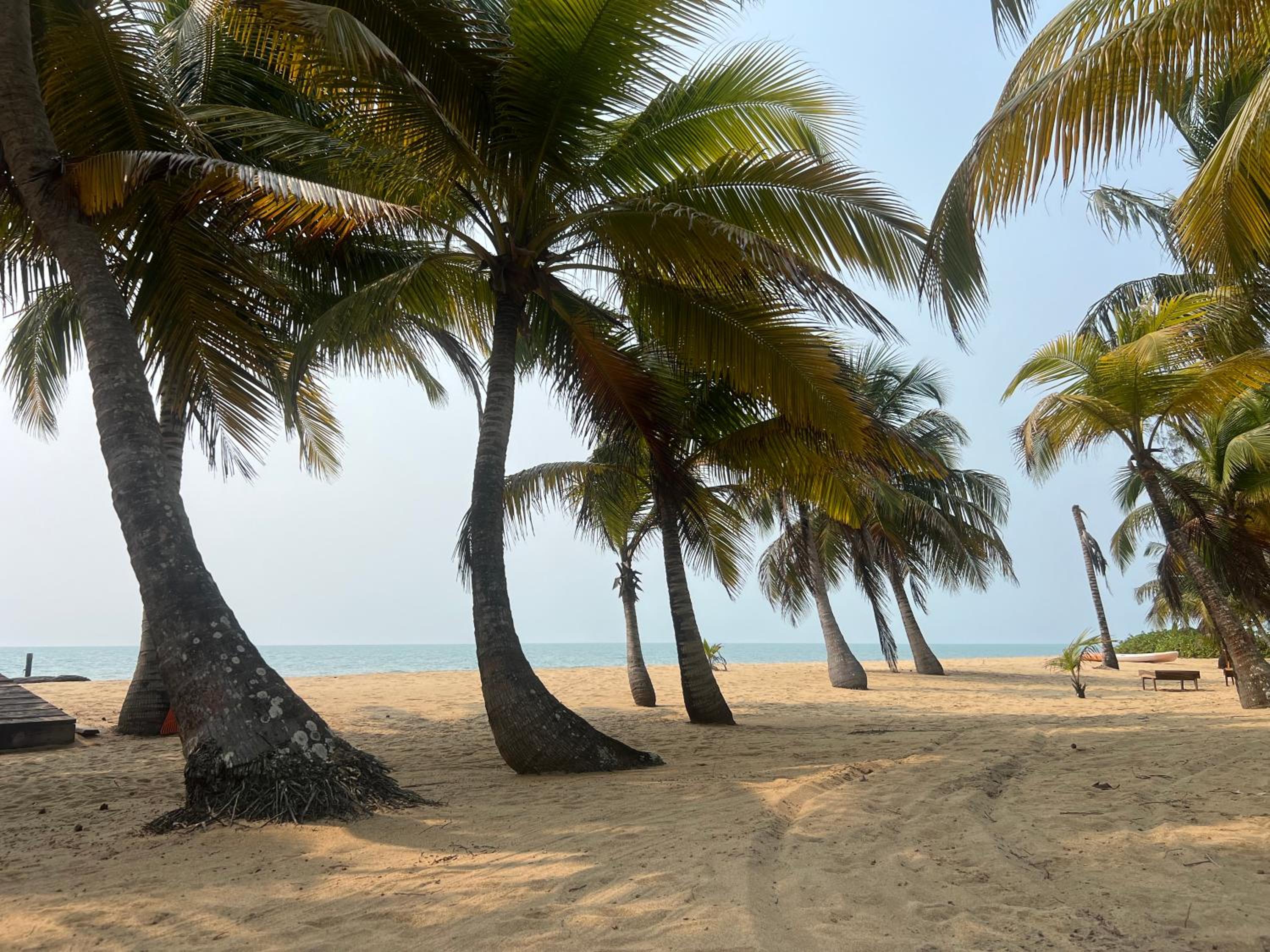 Sabal Beach