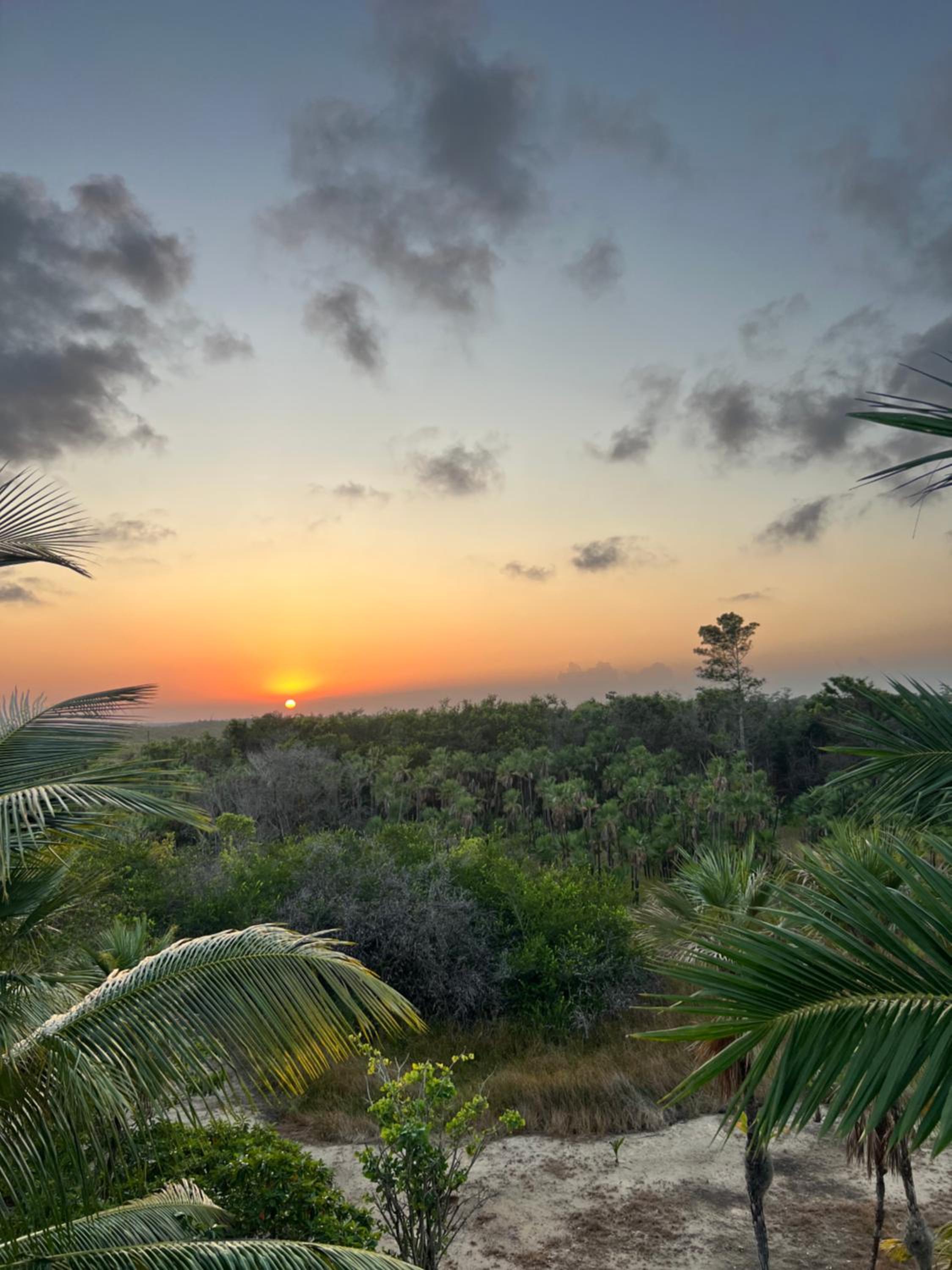 Sabal Beach