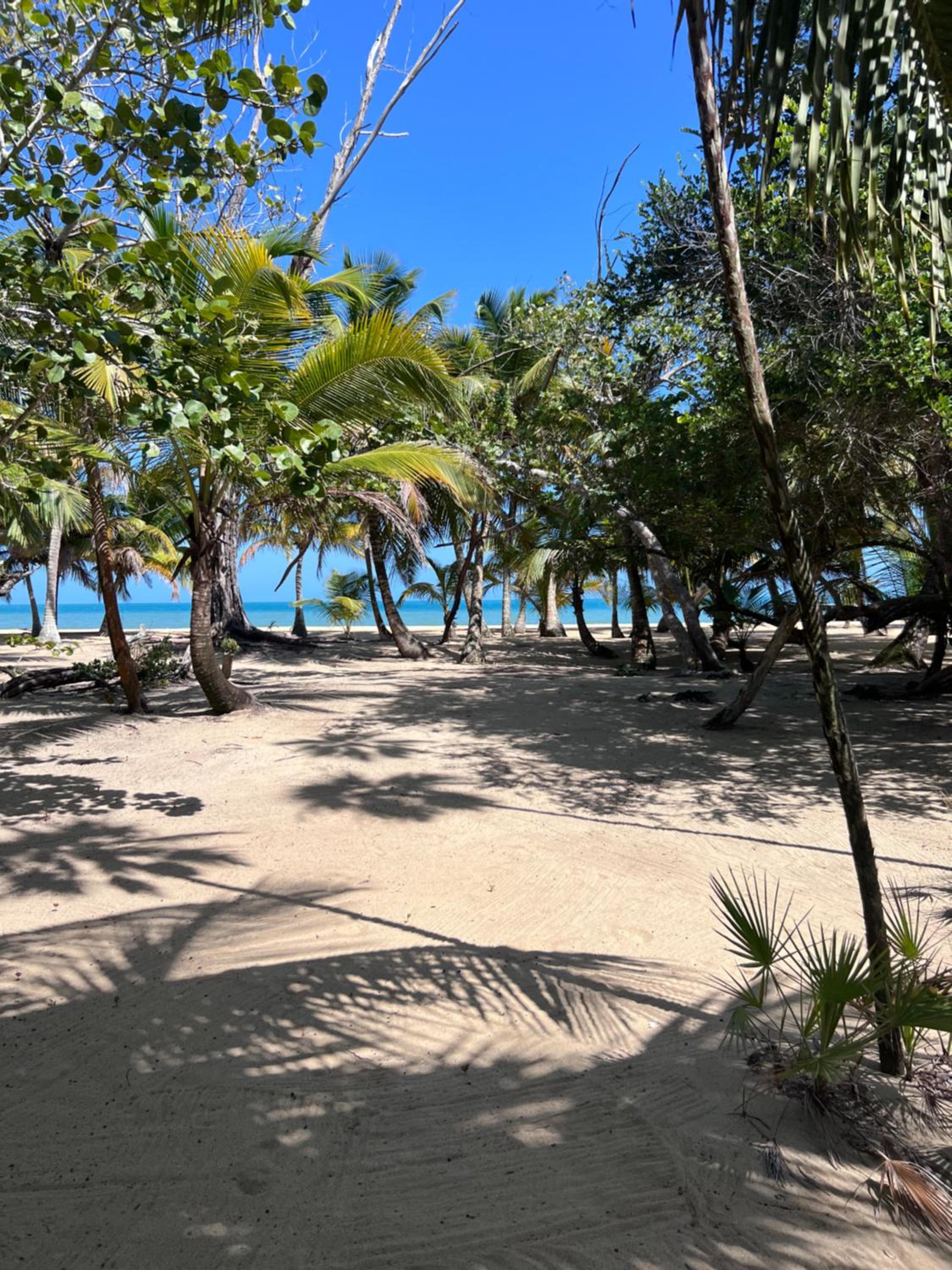 Sabal Beach