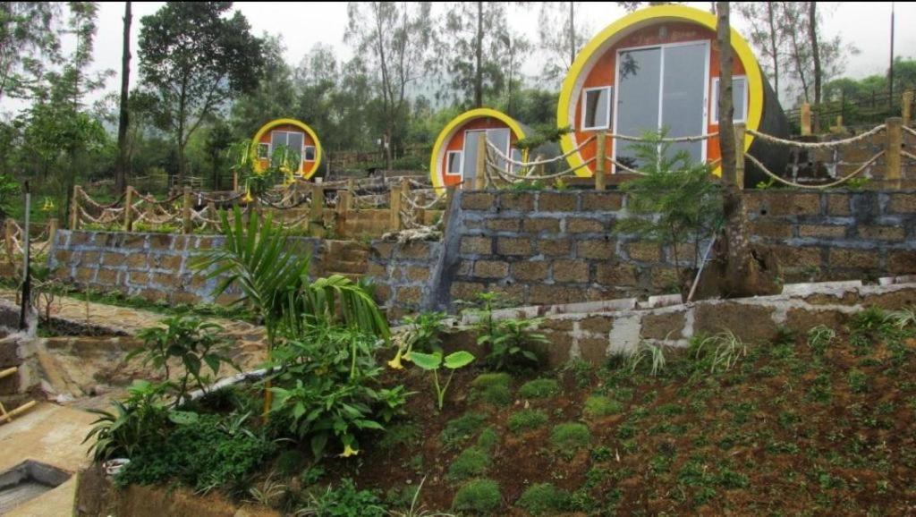 De'Pipo Homestay view 2