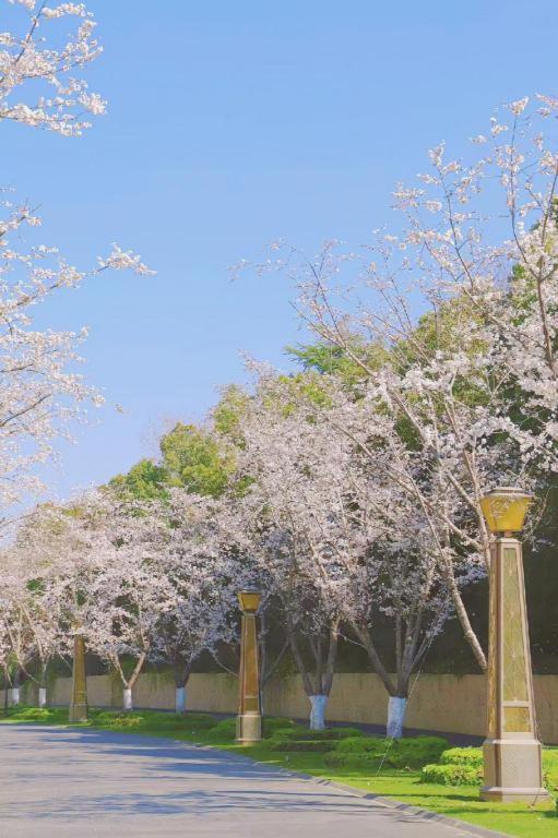 Suning Zhongshan Golf Resort