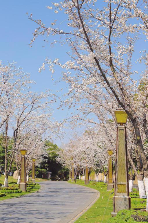 Suning Zhongshan Golf Resort