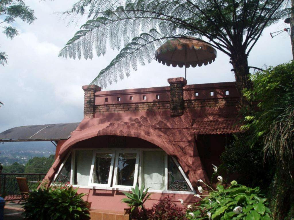 Talita Resort Ciloto Puncak view 4