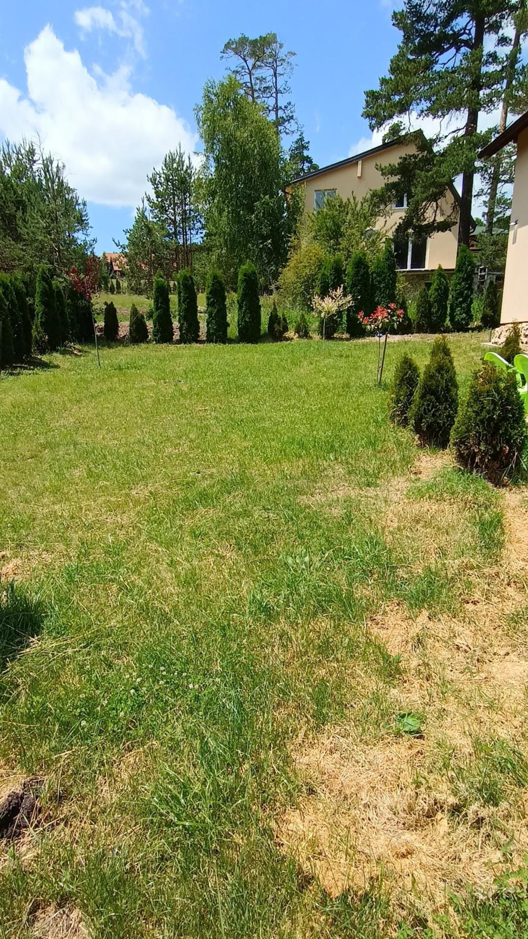 Vila Osvit