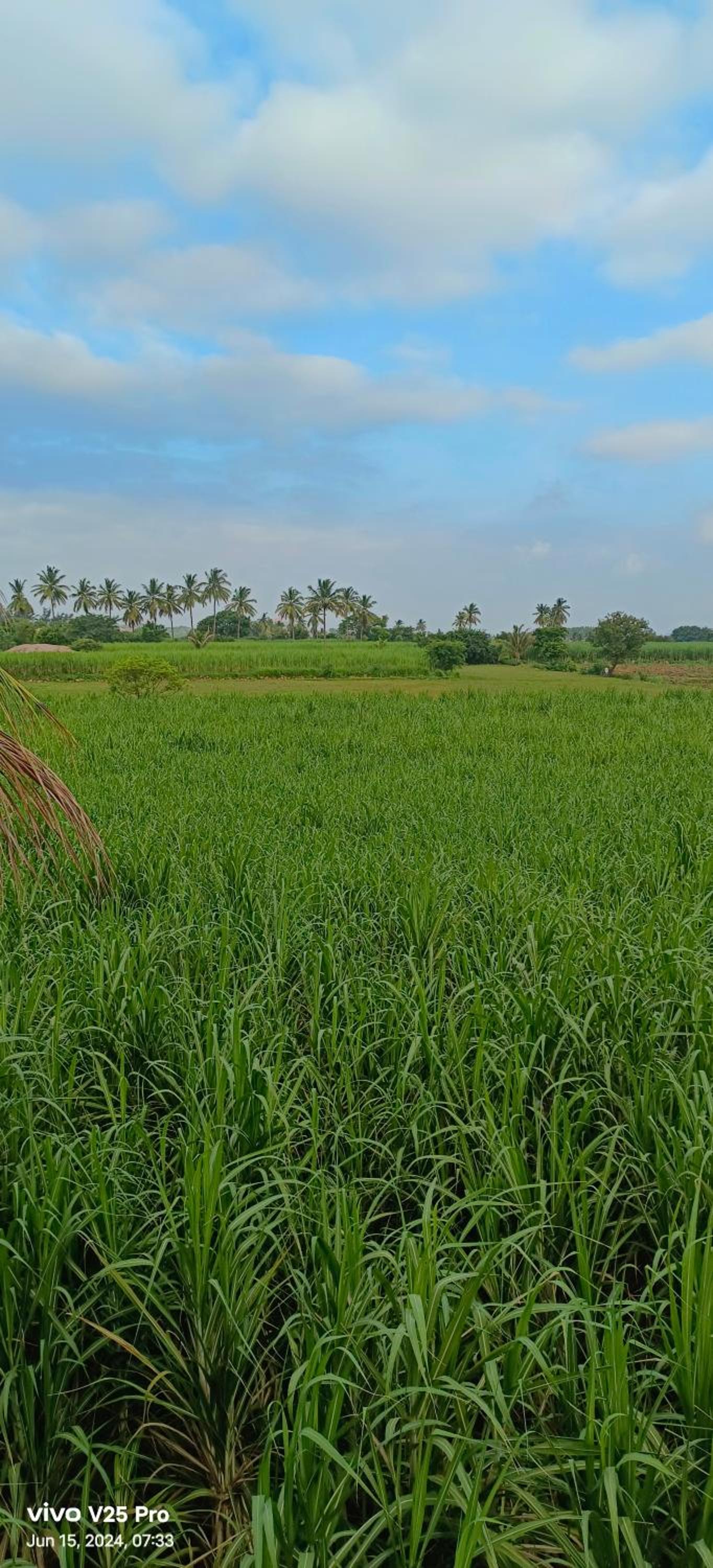 Saanvi Farmhouse