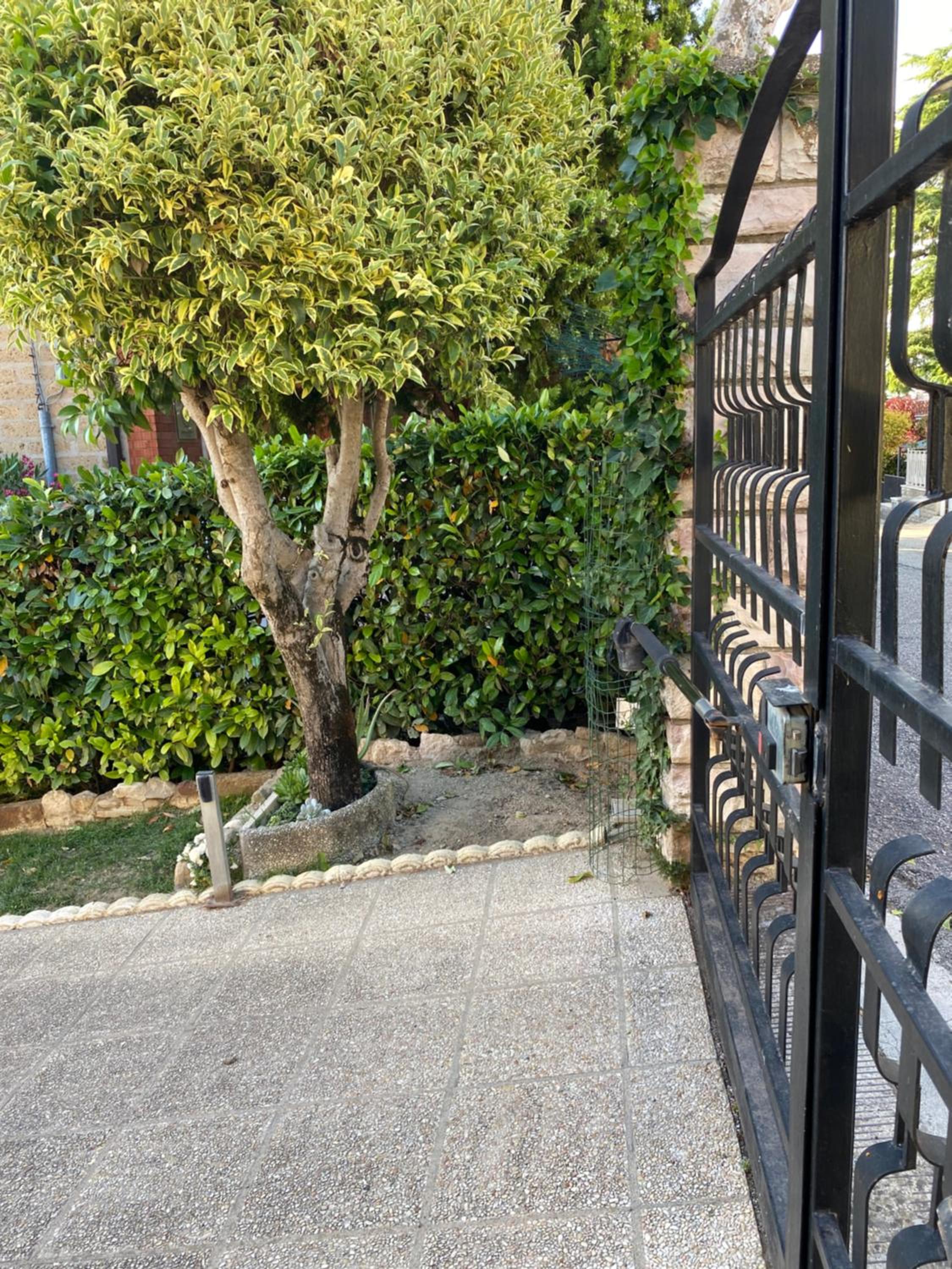 Photo 15