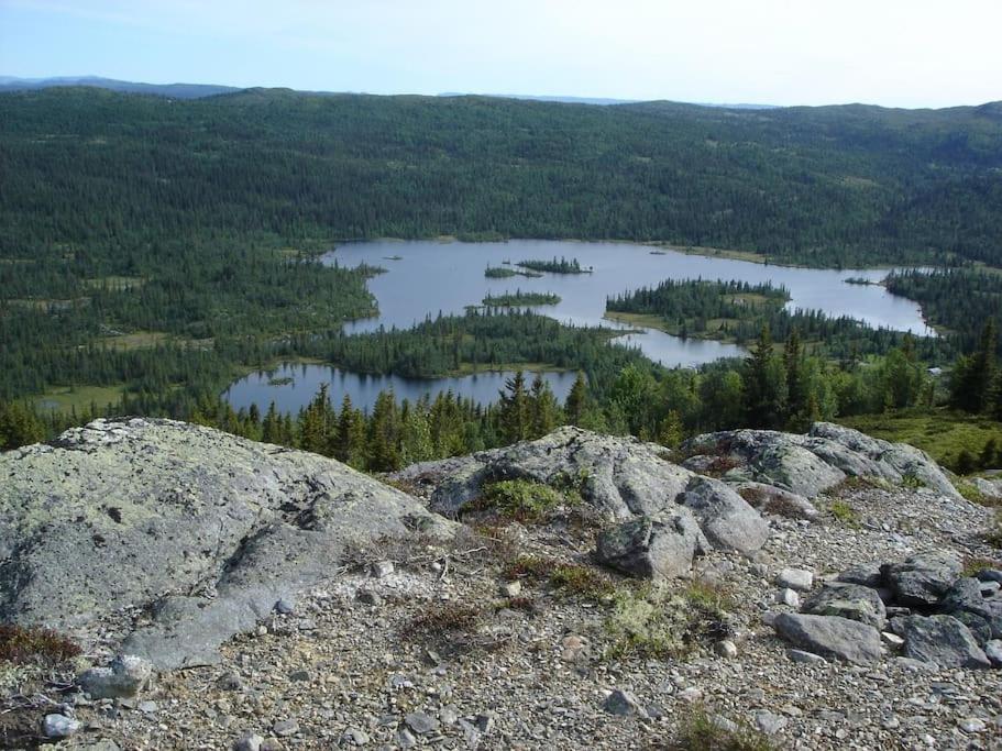 Photo 11