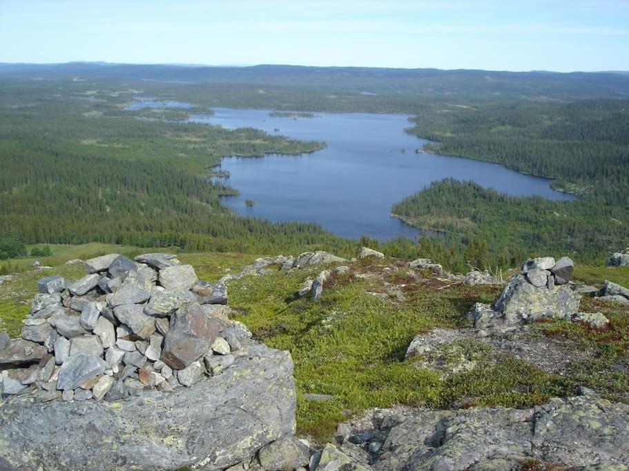 Photo 22