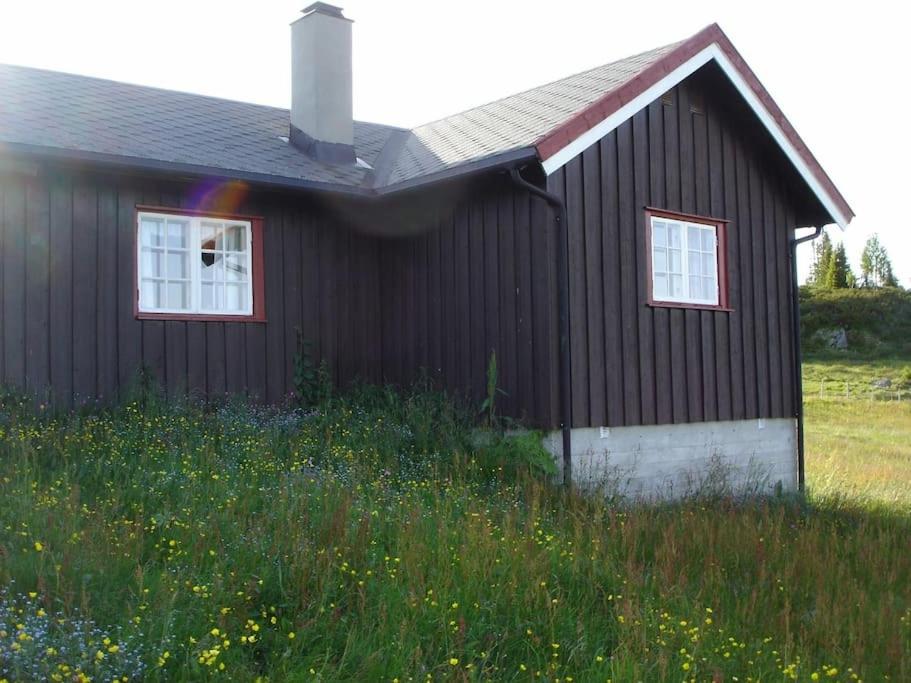 Photo 23