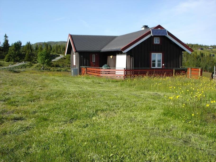 Photo 41
