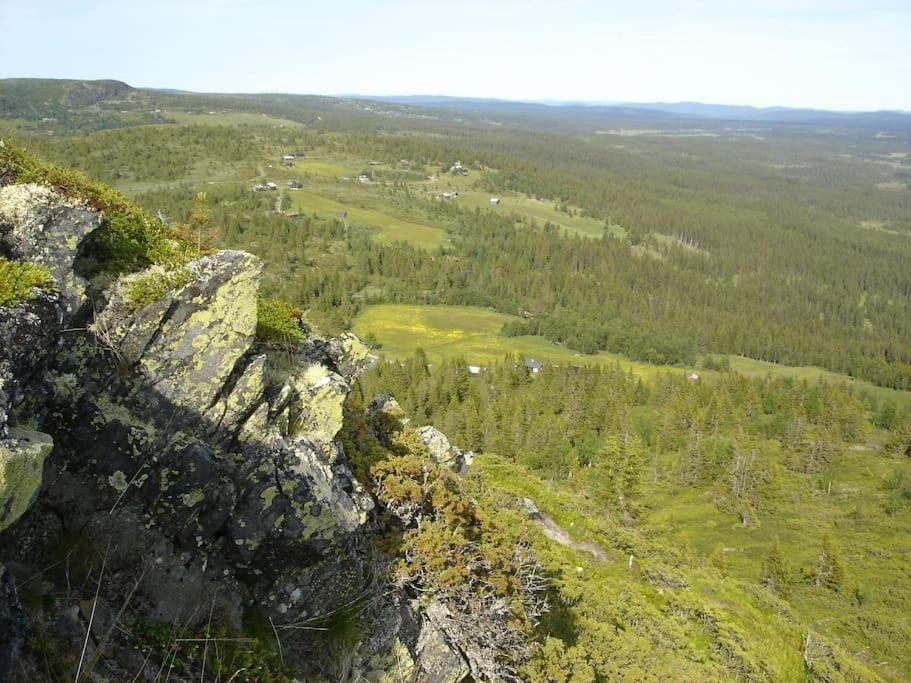 Photo 44