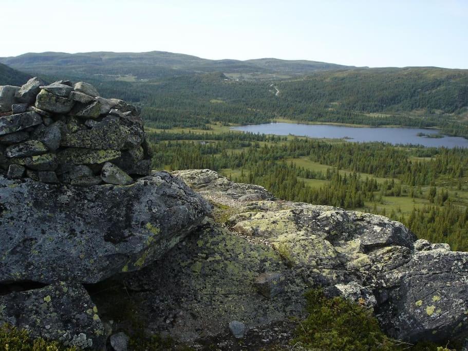 Photo 46