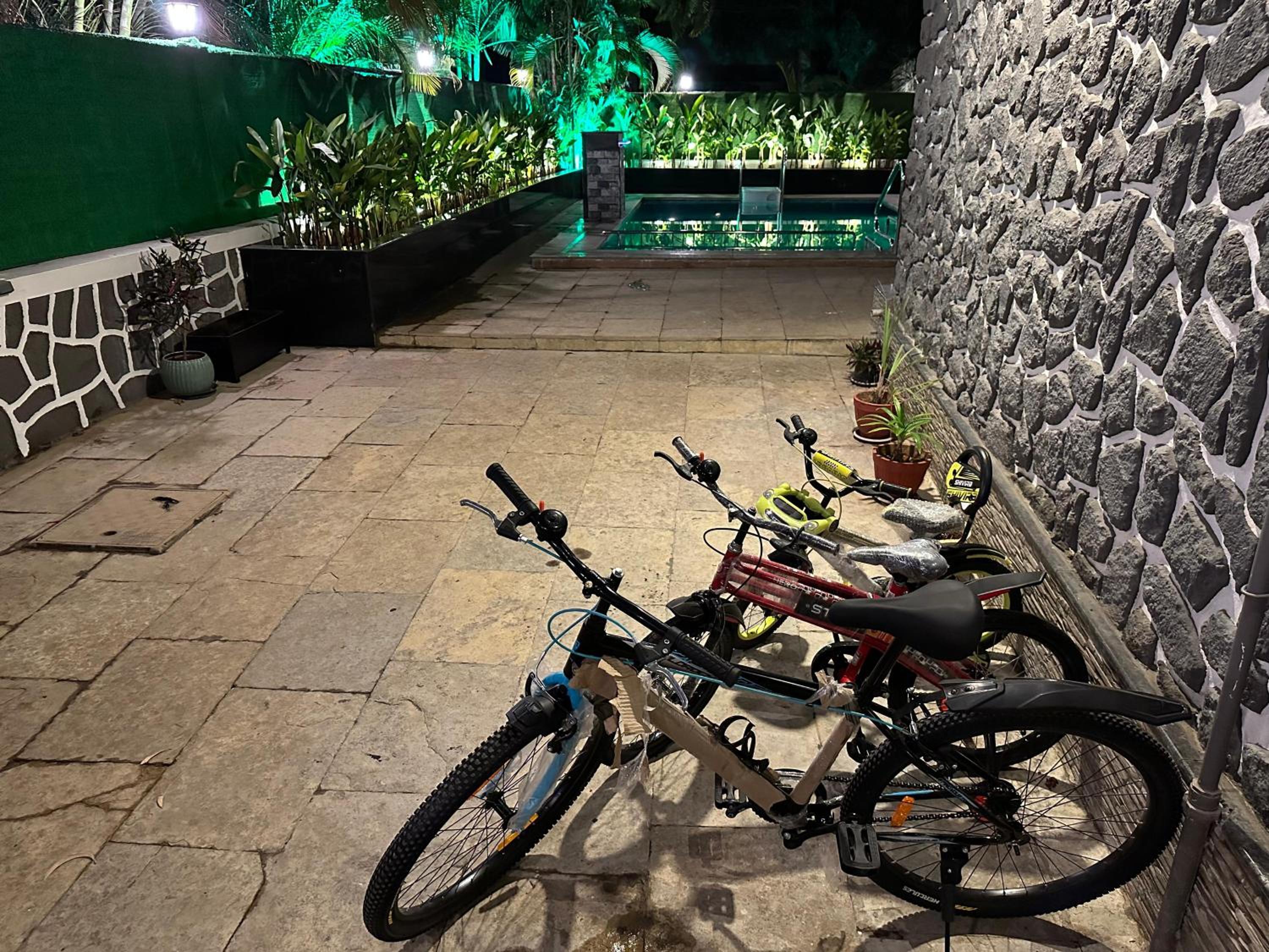 Redhomex Kingfushi