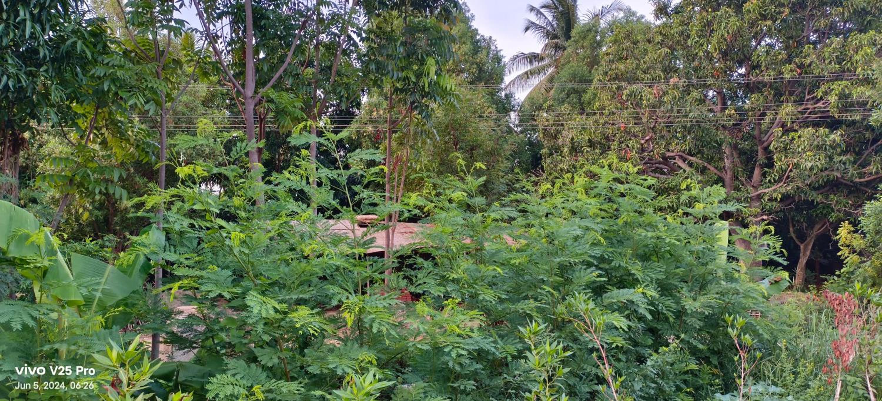 Saanvi Farmhouse