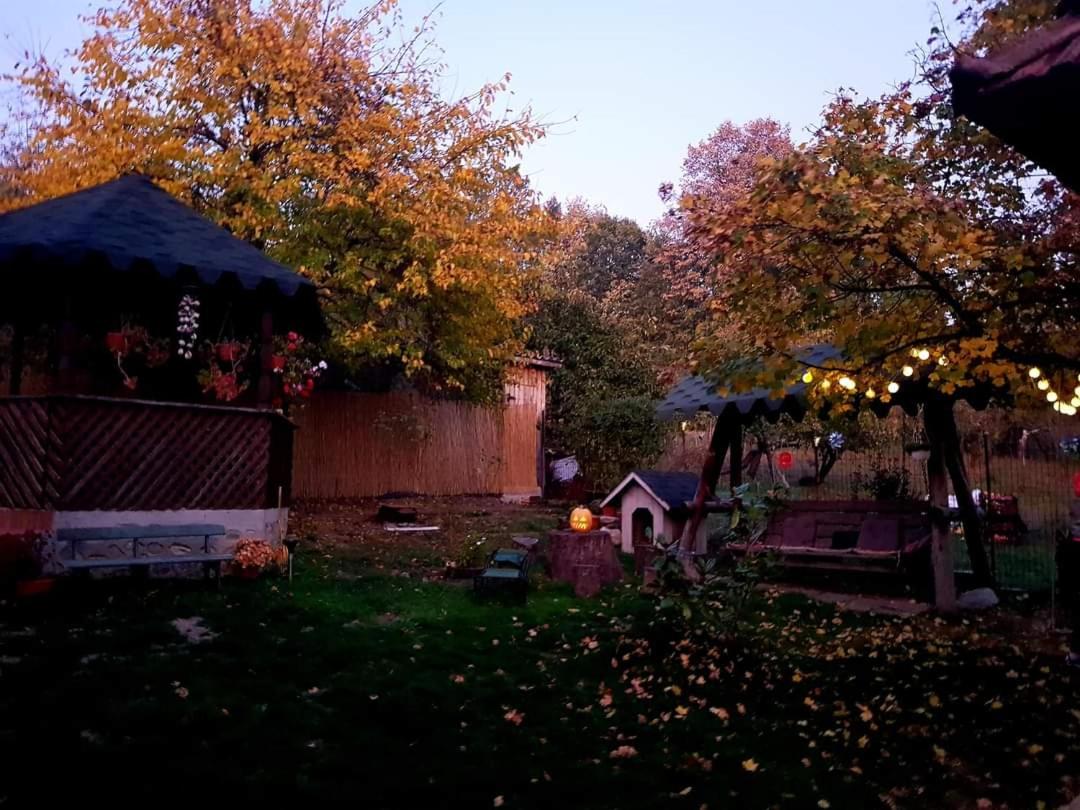 Casa Smeilor Horezu view 5