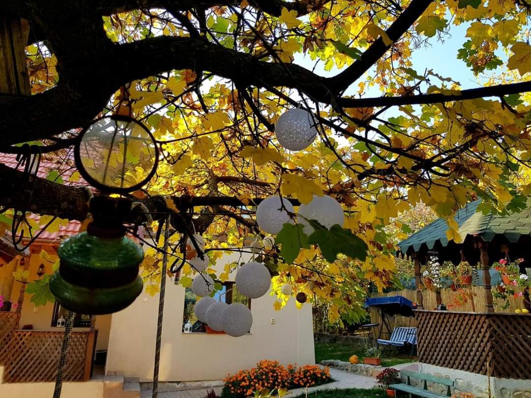 Casa Smeilor Horezu view 4