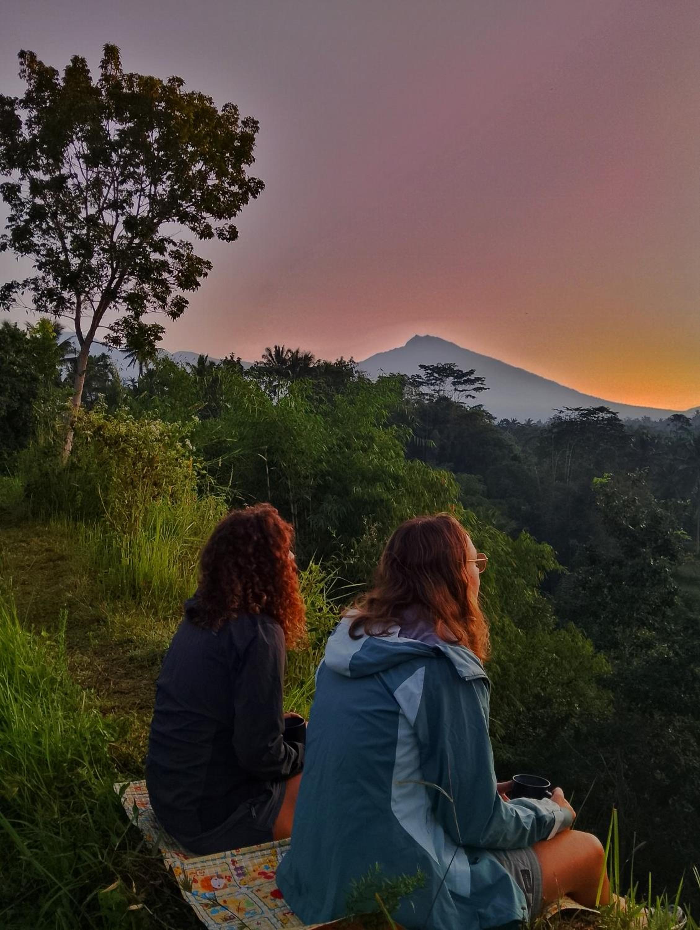 Alfarizi homestay