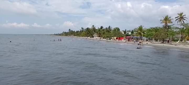 Manglar de Alegria