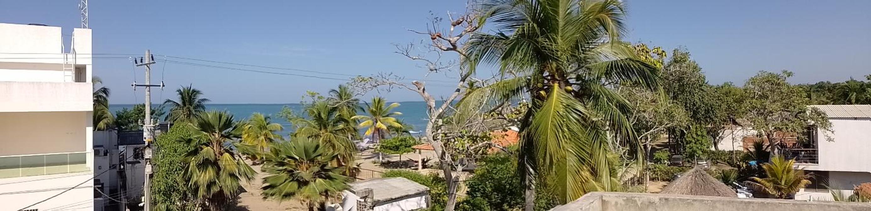 Manglar de Alegria