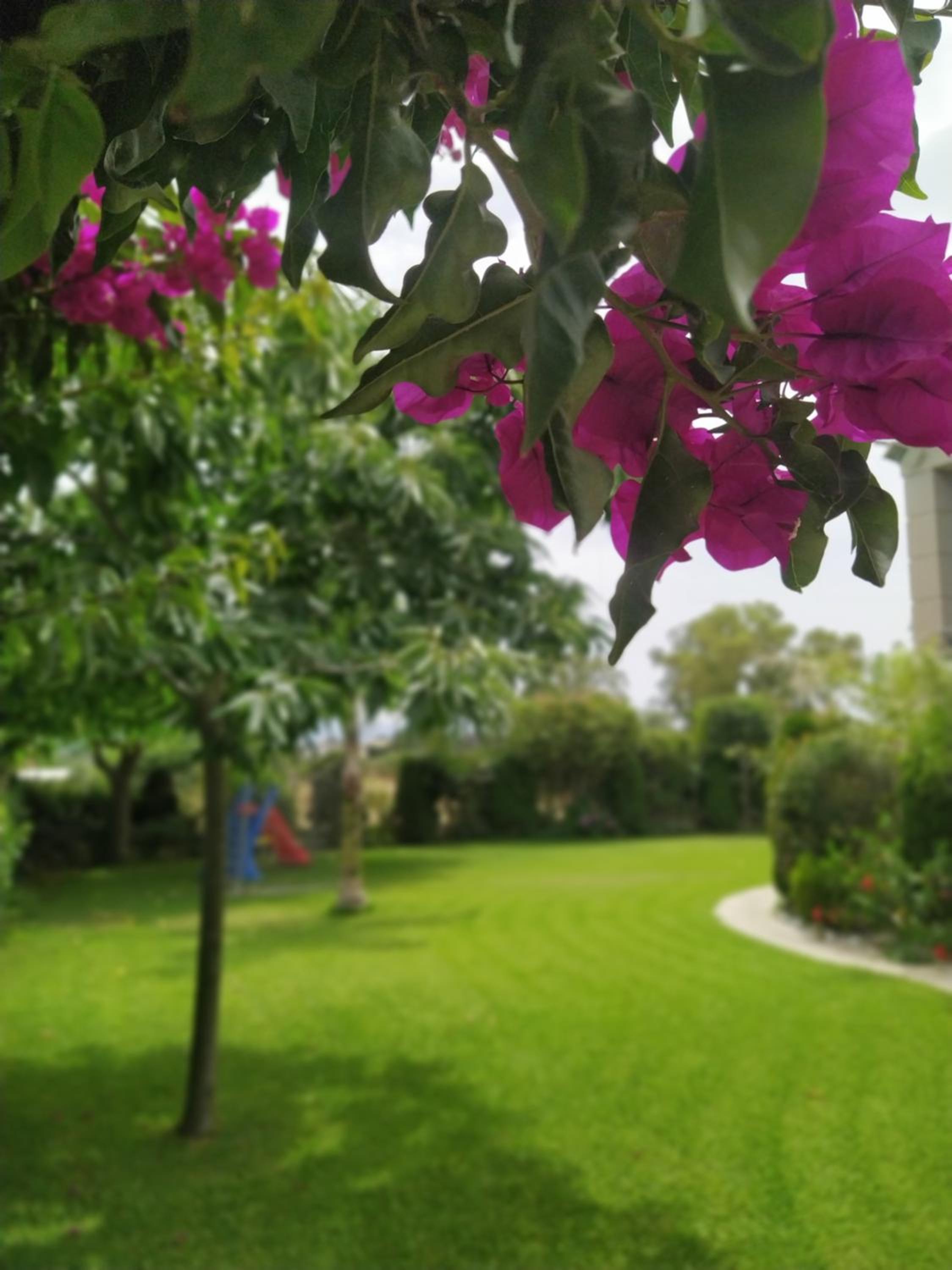 House In The Garden