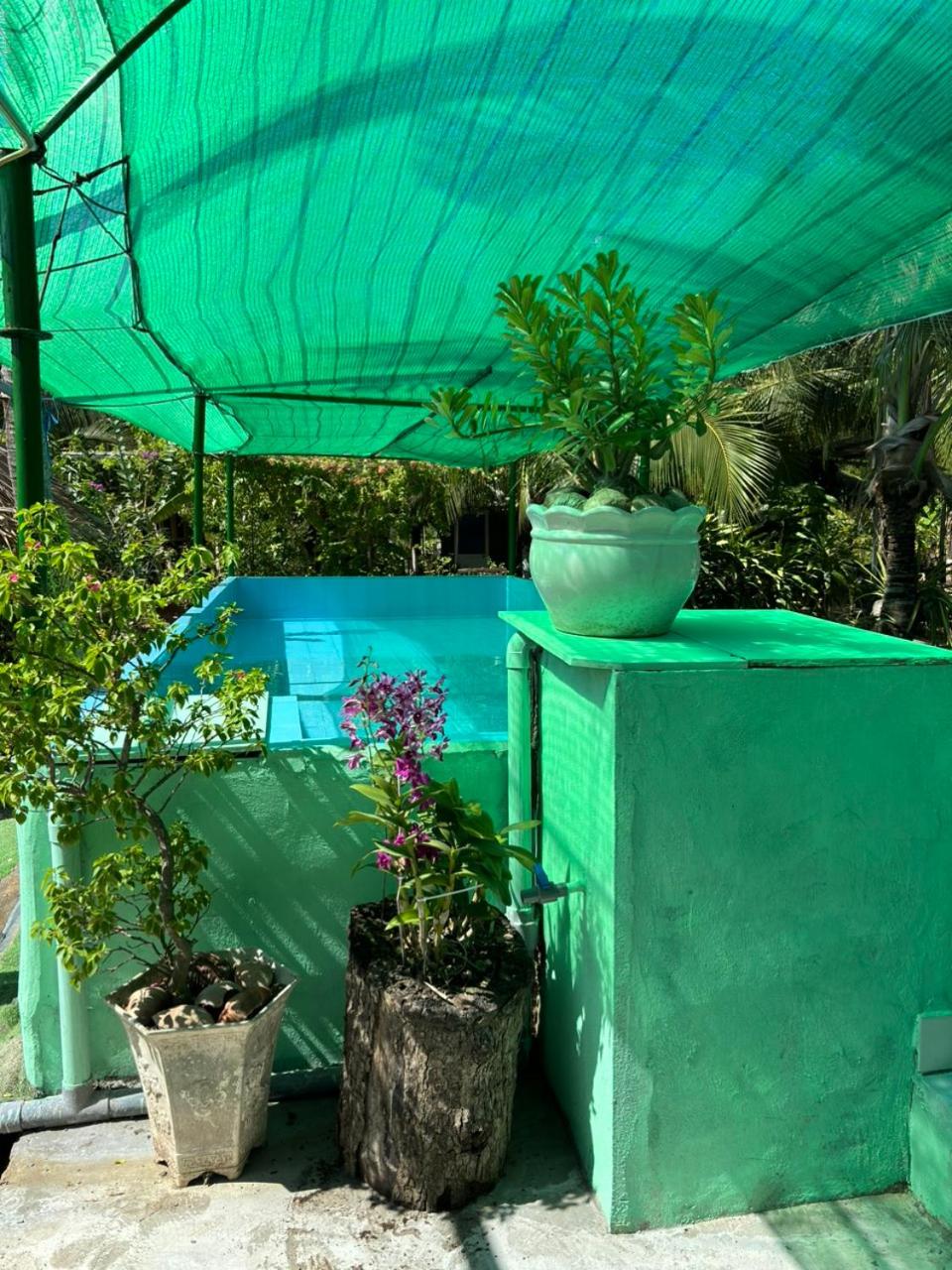 Mekong Delta Homestay 2-Day Tour & Adventure Cycling