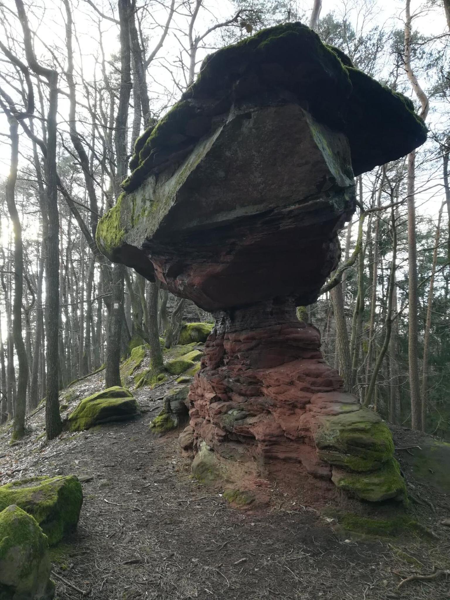 Ludwig im Künstlerhaus